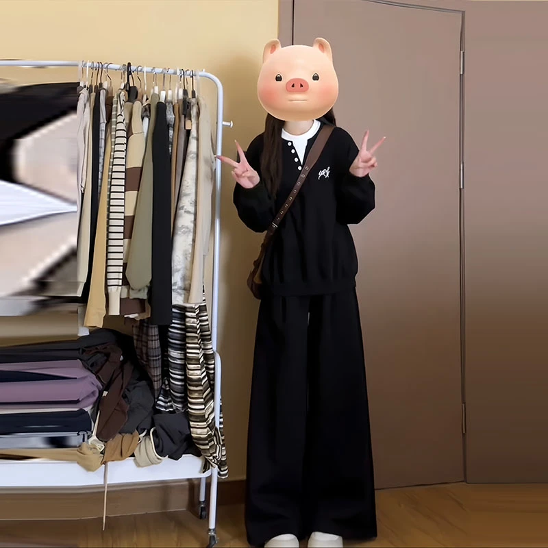 早秋慵懒风V领内搭针织毛衣女夏季新款时尚炸街黑色阔腿裤两件套