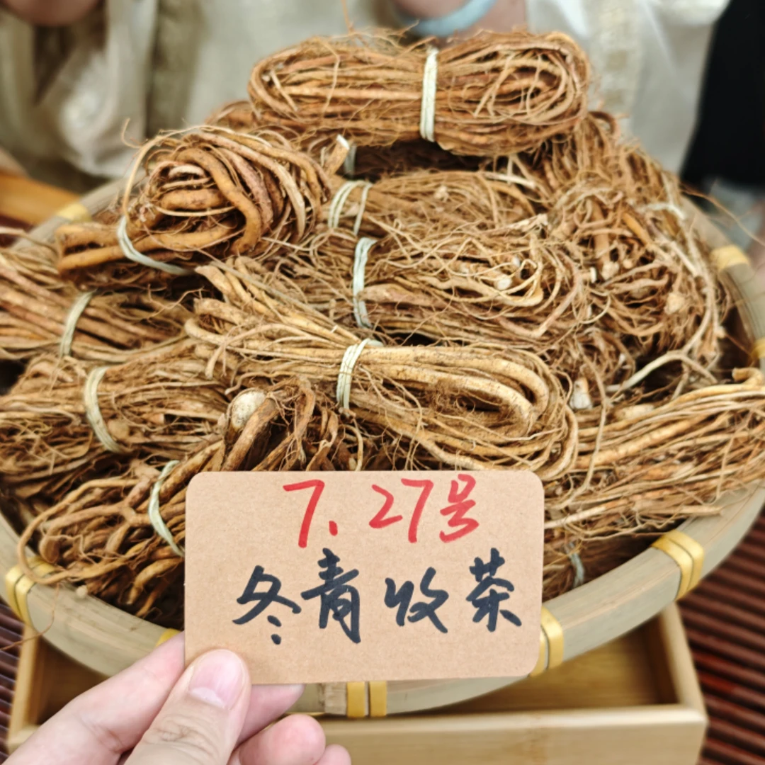 广东深山五指毛桃 不染色不熏硫 精选牛奶根 冬青收茶