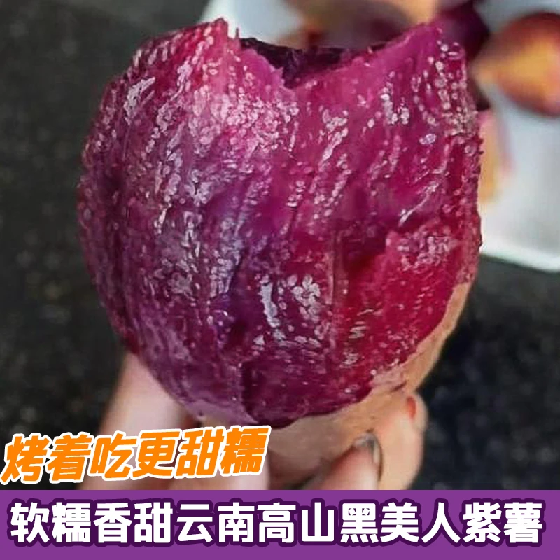 【云南高原黑美人紫薯】专为烤而生的紫薯烤番薯 流油流蜜软糯香甜