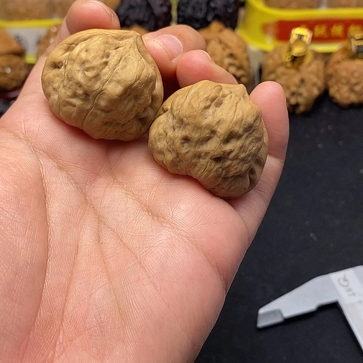 吊坠龙脊菩提古蝉