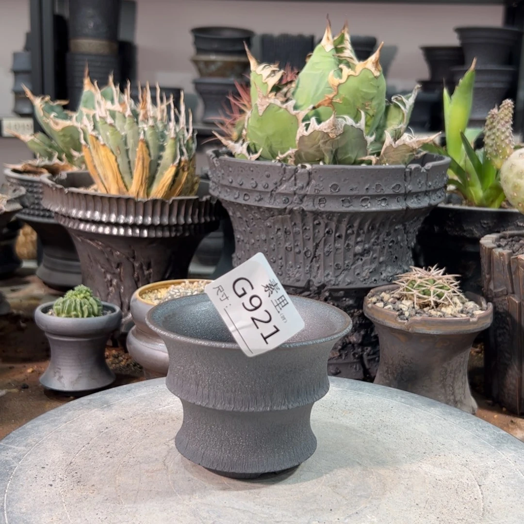 景德镇手工素里内口10高7.5