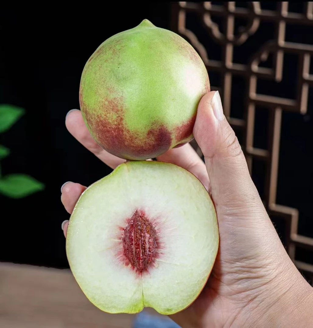 【小冬桃/冬雪蜜桃】脆甜山桃蜜桃小毛桃离核现摘应季水果桃子硬桃