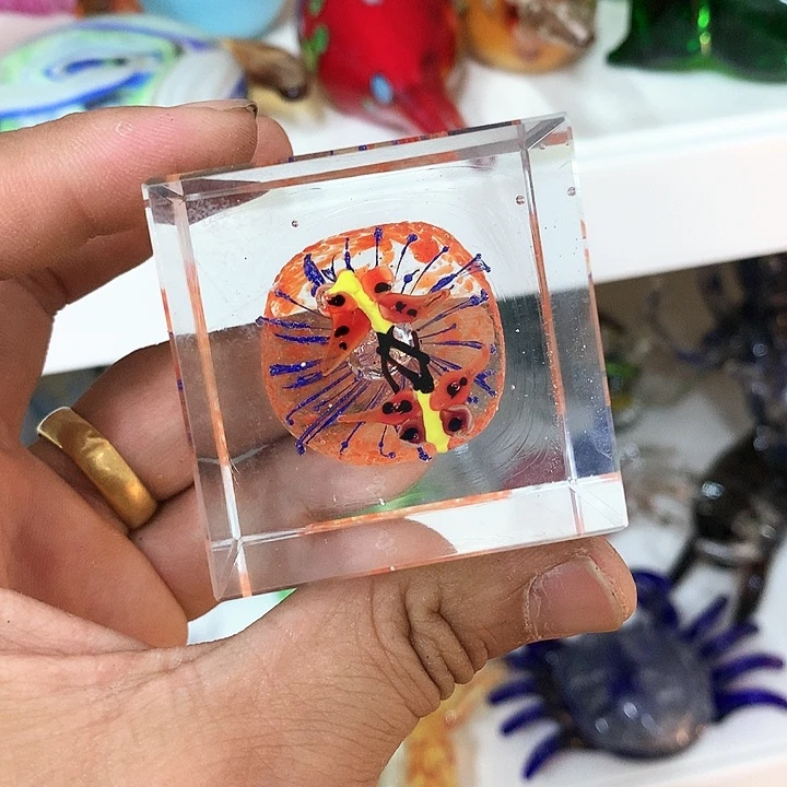 琉璃琉璃琉璃琉璃
