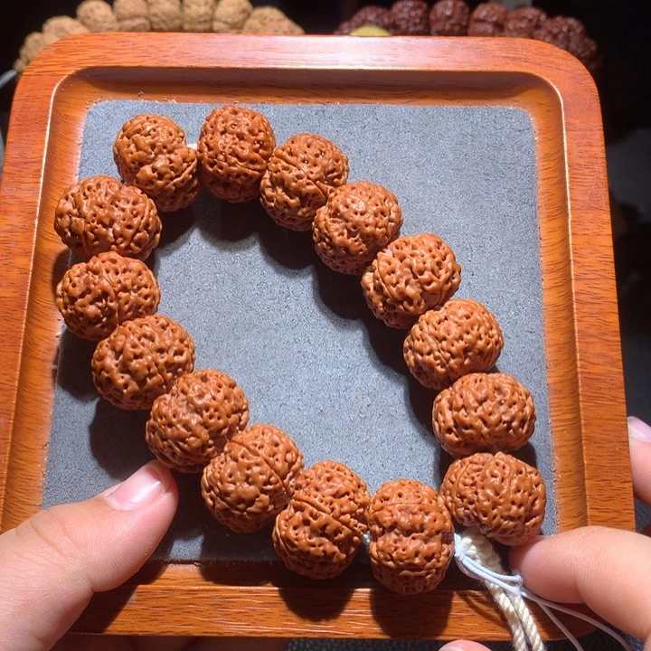 菩提籽类23+六星蜂王定制