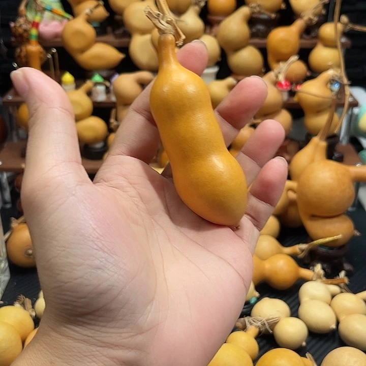 蚂蚁山洞蚂蚁山洞蚂蚁三度