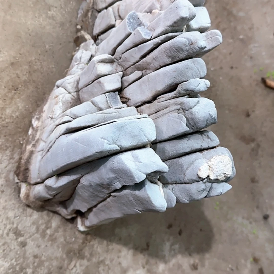 【闪购商品】香榧木吃****火出来就觉得有很多问题进行谈判