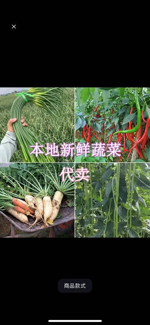 湖南株洲本地农家土菜时令蔬菜顺丰包邮