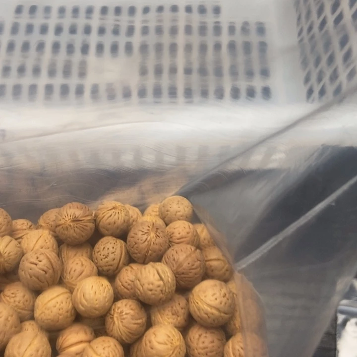 得***得吊坠文玩核桃散发280