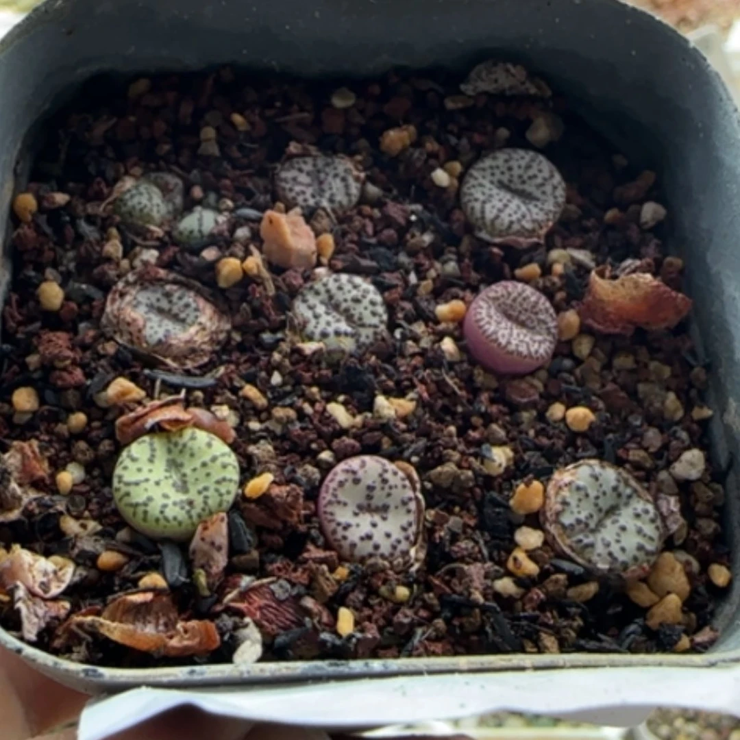 【闪购商品】6️⃣*13960