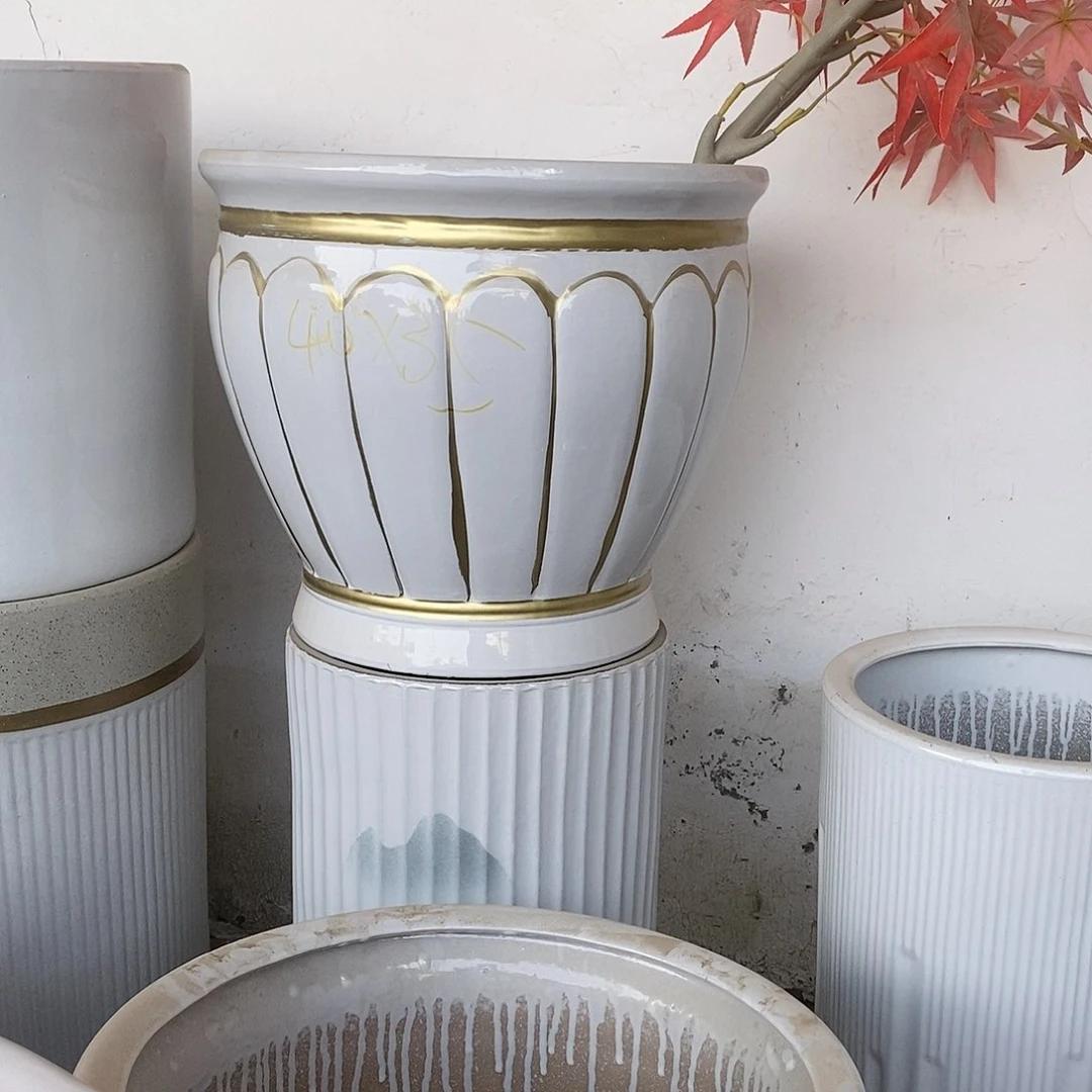 金边南瓜白色特大号