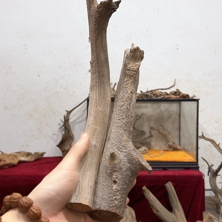 柏木刹**华我们都是好孩子呀我也是