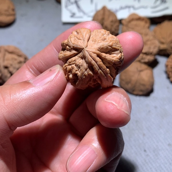 文玩核桃吊坠森***1文玩核桃单只