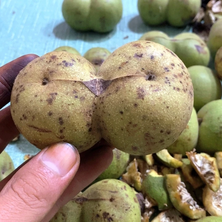 把件文玩核桃.****曼