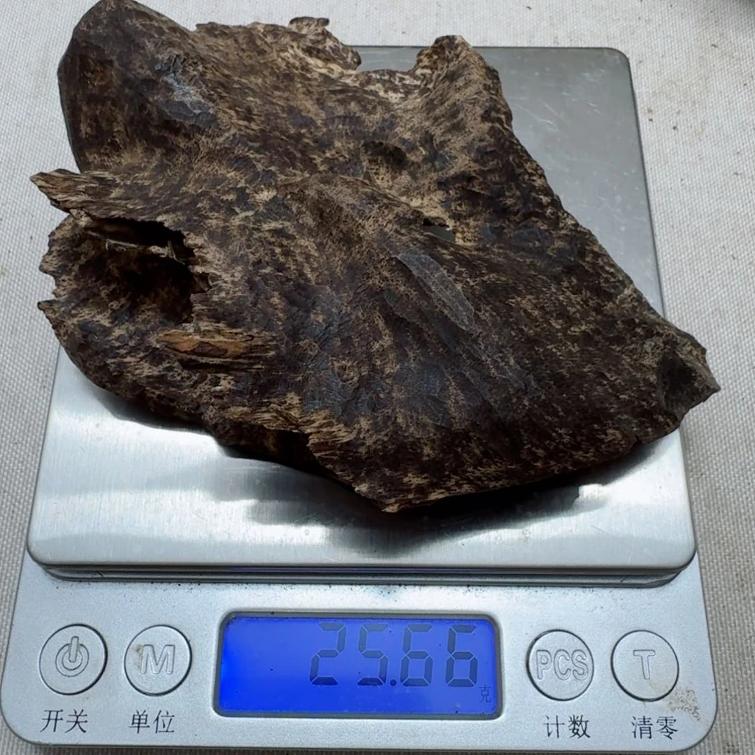 香榧木认***真海南天然野沉水包头25.6克