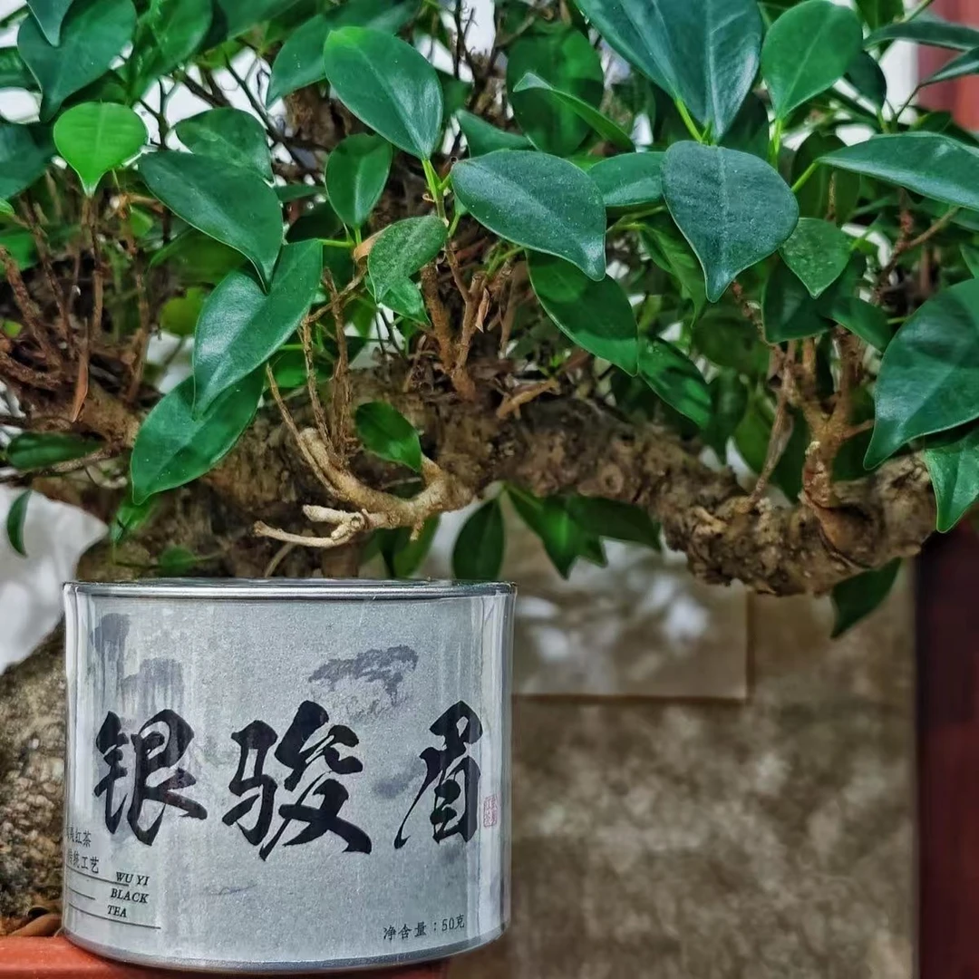 千穰小种红茶银骏眉一级武夷红茶50g小铁罐装