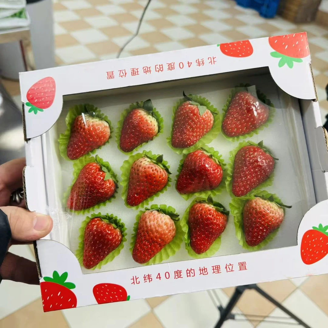 【两盒】头茬丹东九九大果空运草莓 一盒9-15颗只发天津市除县区