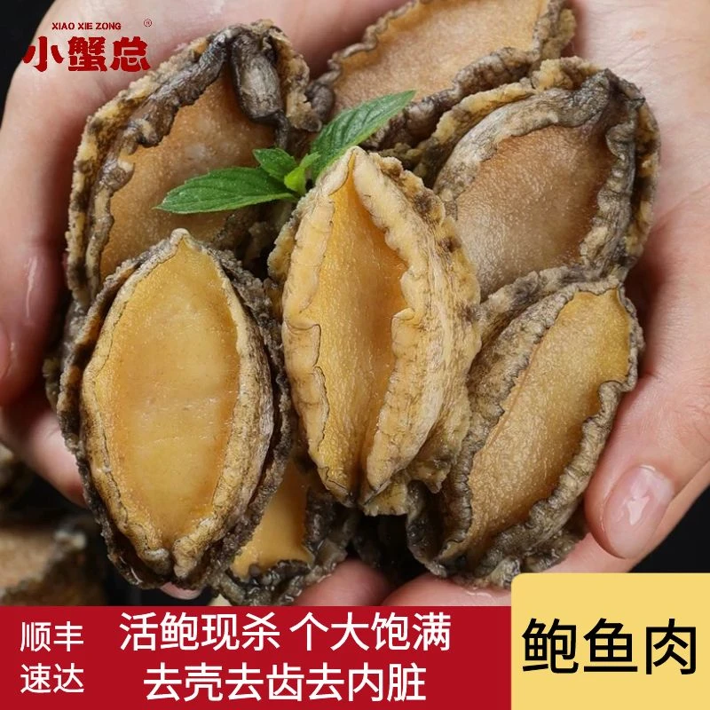 鲍鱼肉去壳去牙鲜活冷冻新鲜活鲍现剥去内脏大鲍鱼火锅佛跳墙食材