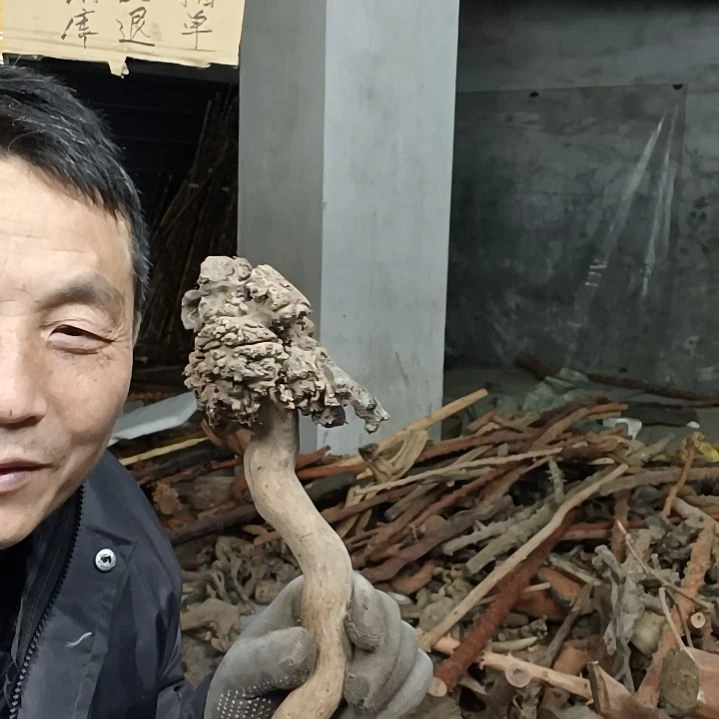 稳定木中**起贵州檬子木   铁马鞭   根艺  半成品