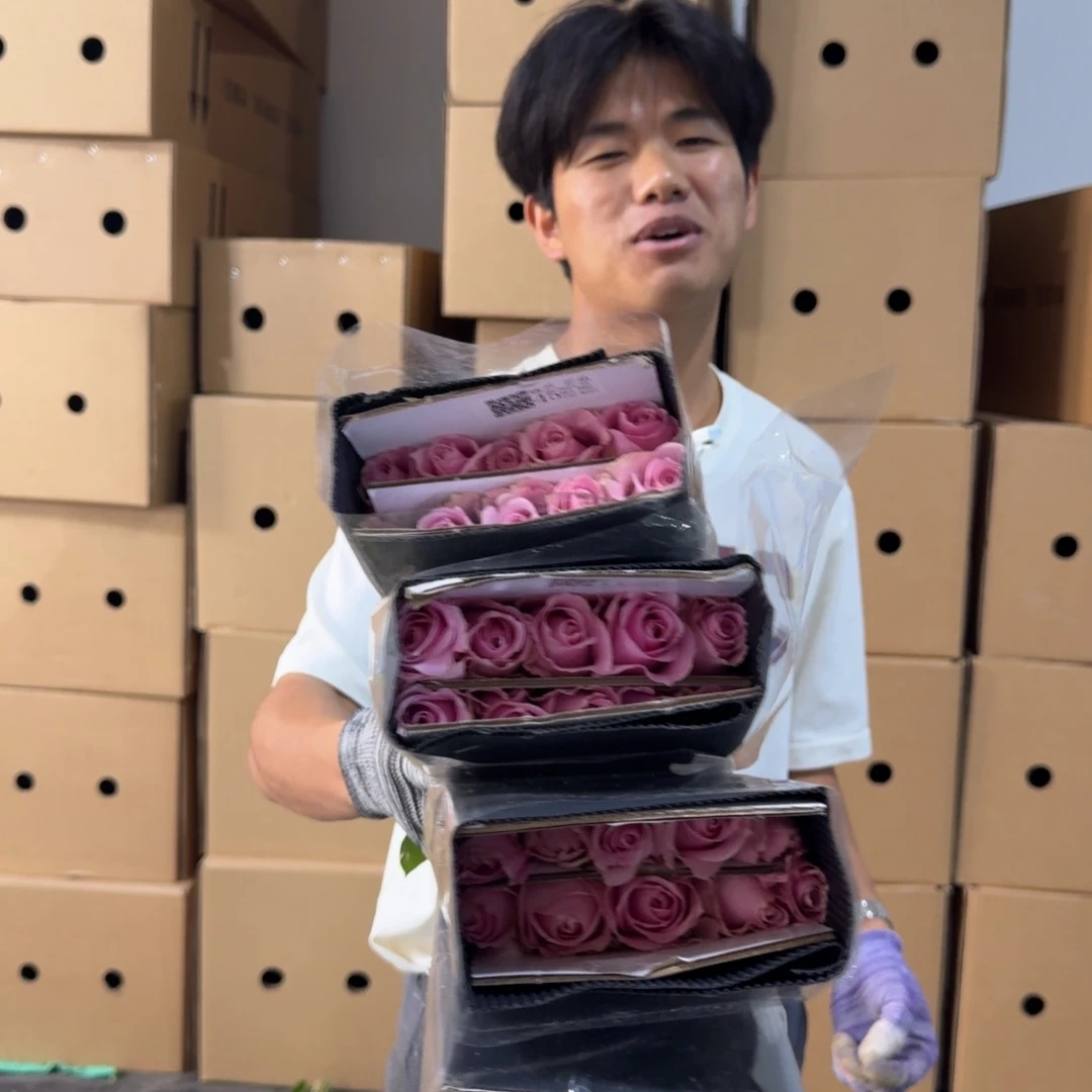 甜蜜雪山8扎包邮价秒杀