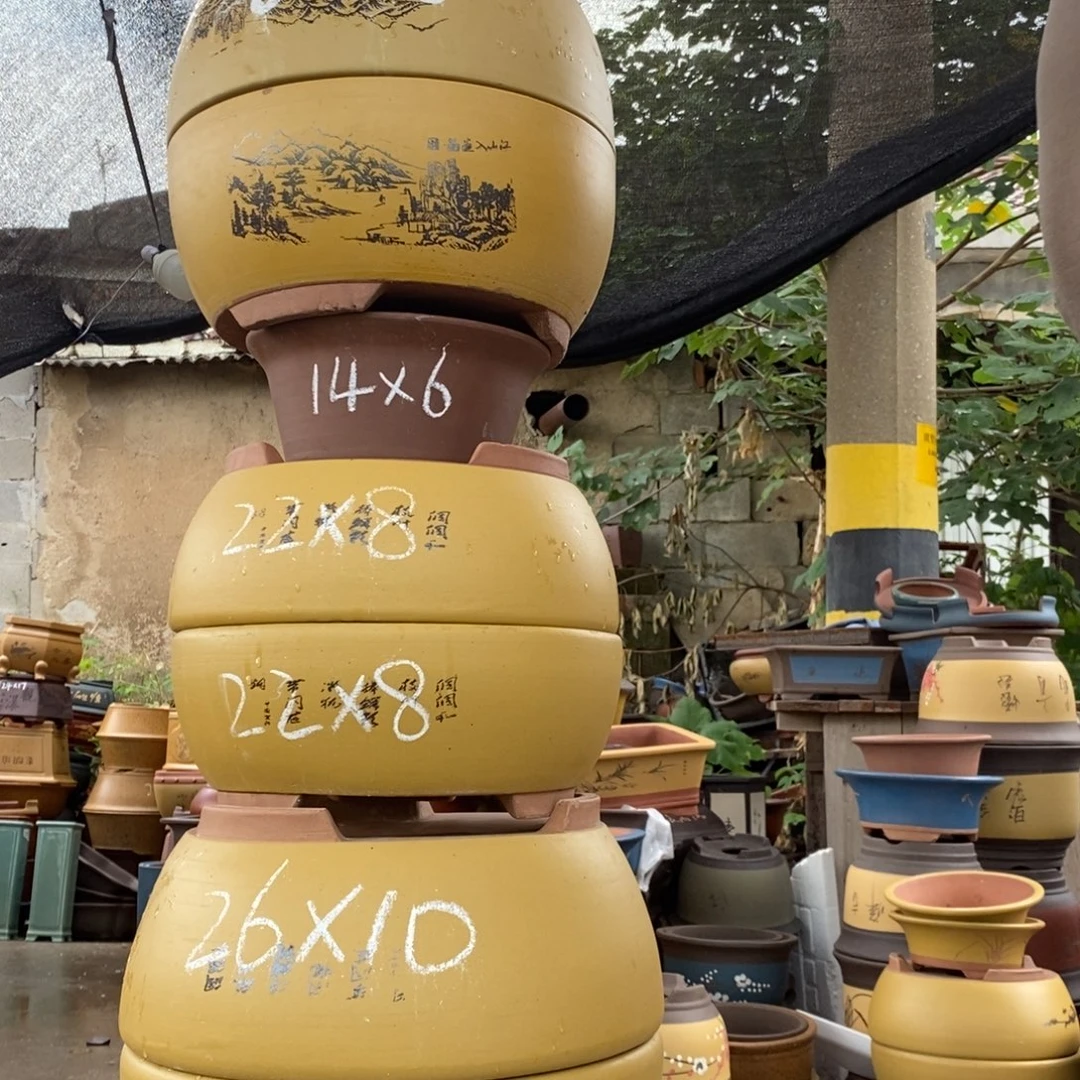 紫砂紫砂紫砂紫砂