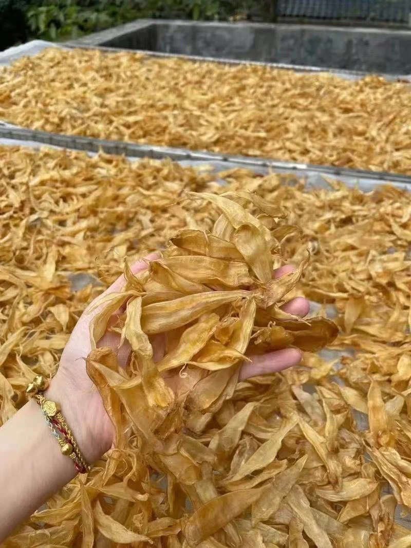 阴阳胶煲汤炖牛奶做奶冻的优质鱼胶