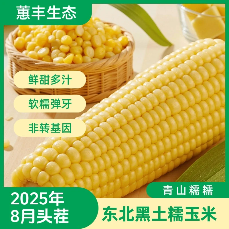 【25年头茬玉米】玉米东北大地黄糯玉米/白糯玉米真空包装8支装