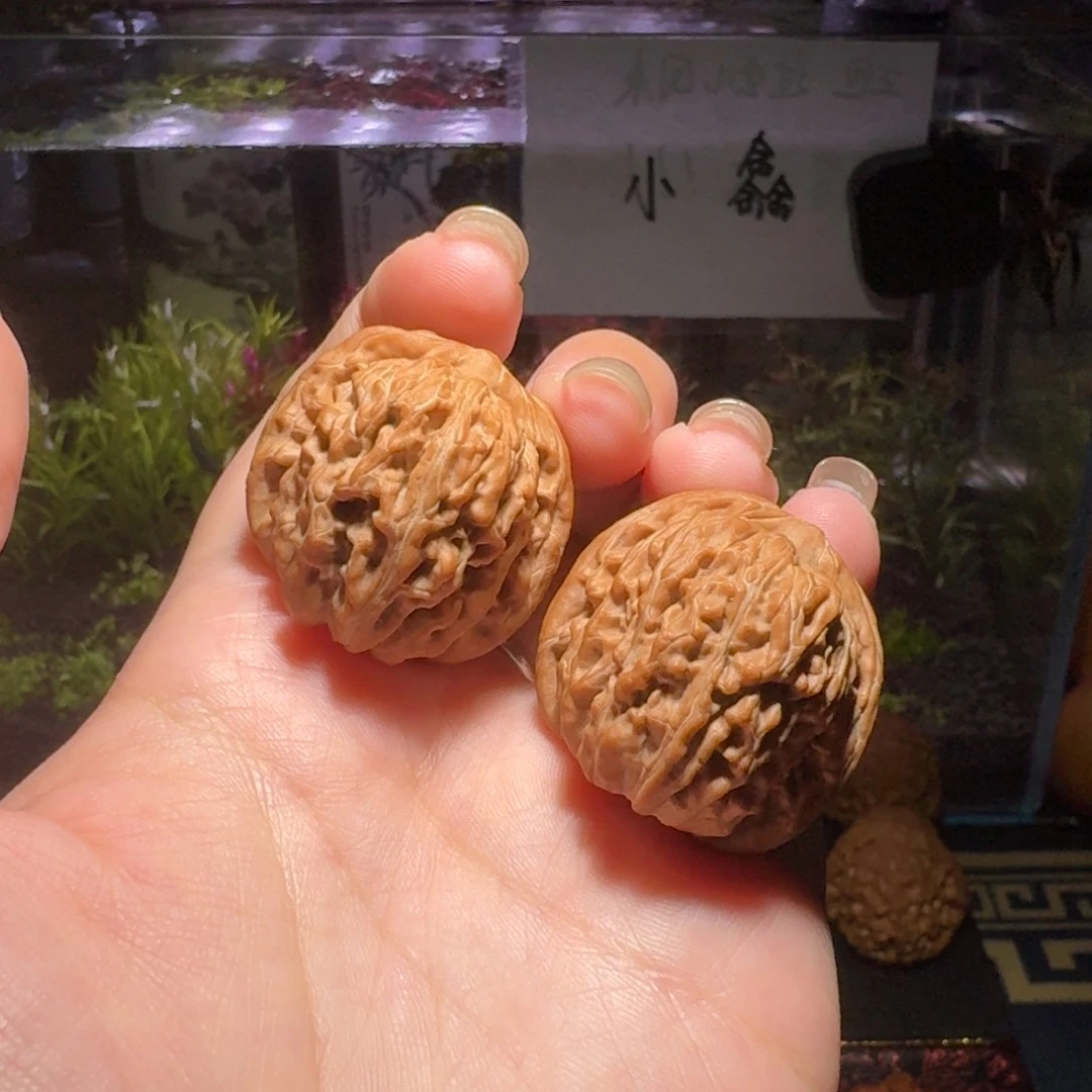 952号33mini蓟县楼文玩核桃
