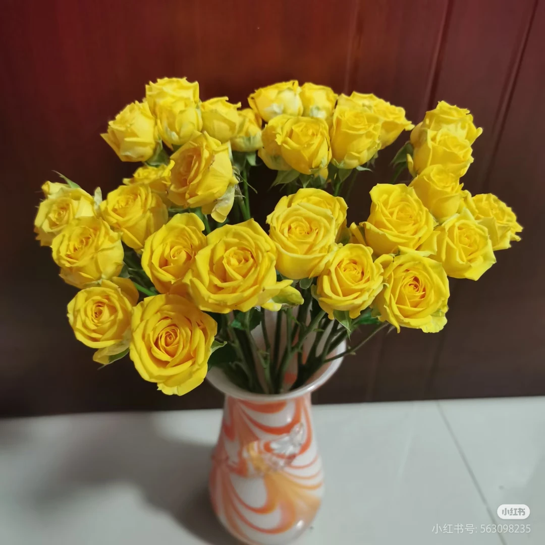 切诺基10支 两单包邮一单或低温不拍保温冻坏不售后