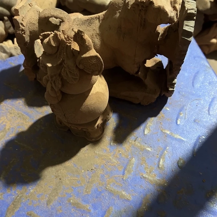 香榧木88888888888888885