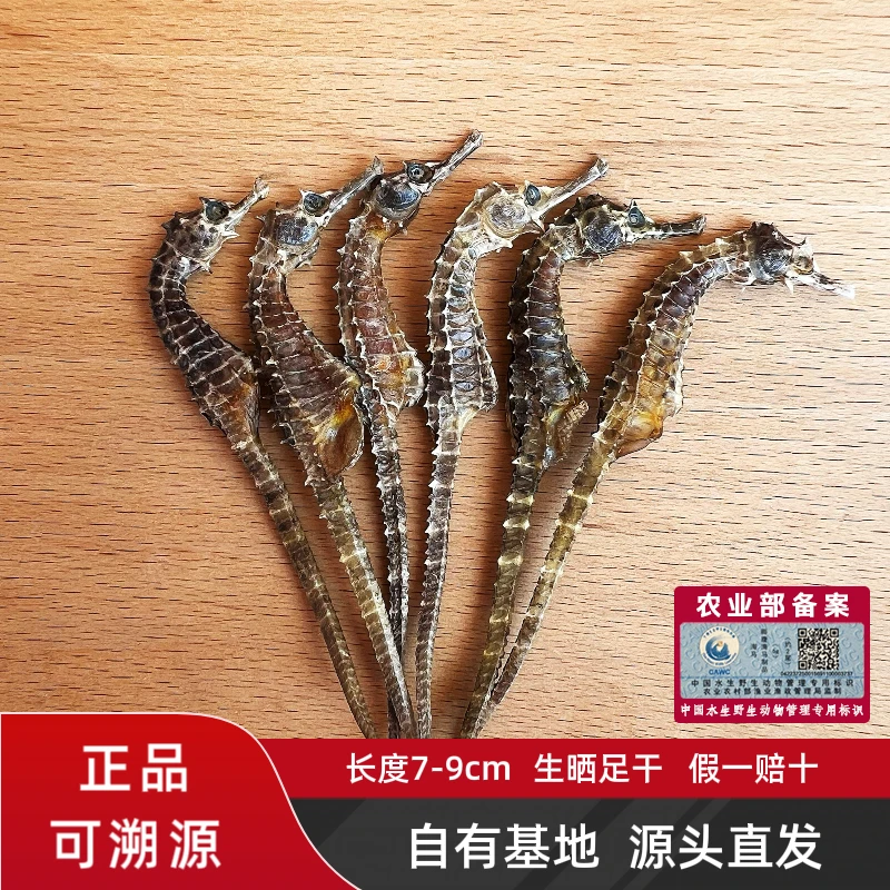 【正品保真】海马干货 生晒足干 可用于泡酒煲汤料茶 可溯源