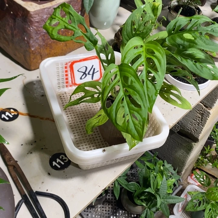 洁***宝完全开放退款拉黑84