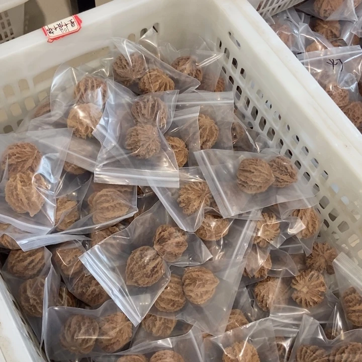 吊坠文玩核桃野龙（两单起拍）