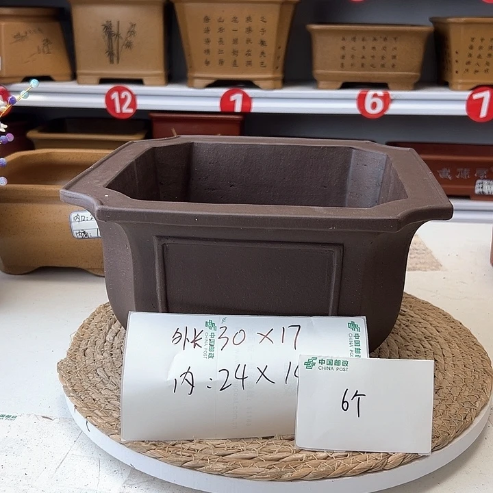 紫砂花盆蛇年大吉