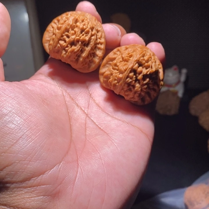 把件文玩核桃白狮子