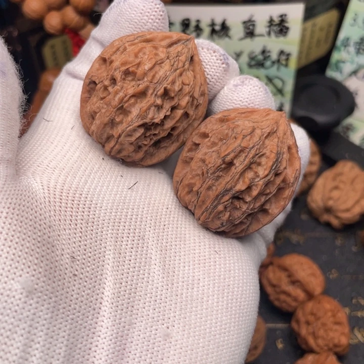 核桃秦岭山地核桃鸡心