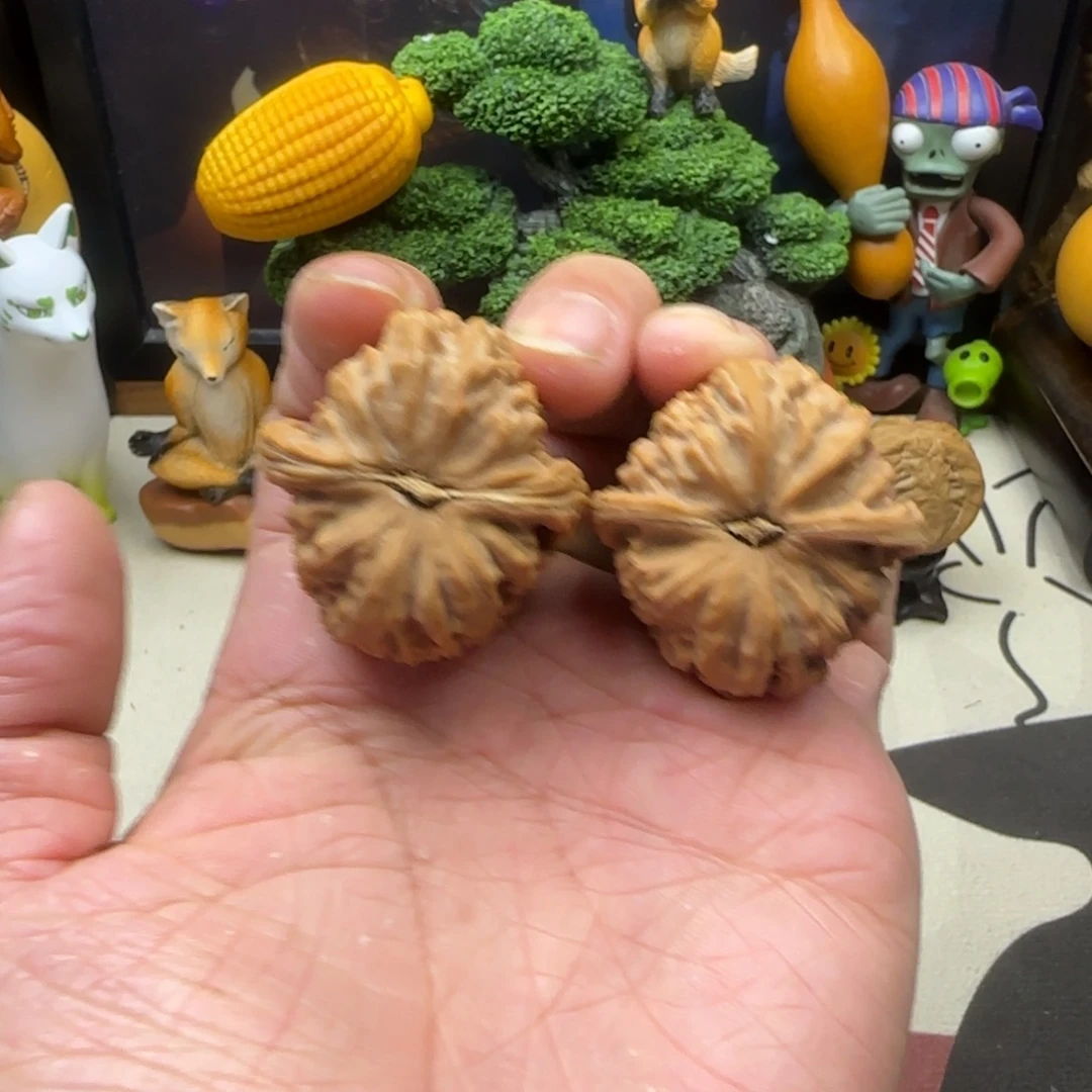 文玩核桃吊坠全品大粗筋