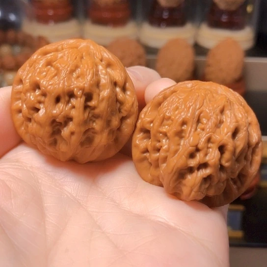 精品：球体金公子