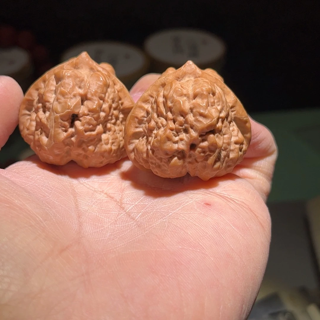 40全品无修原生树三角蛙