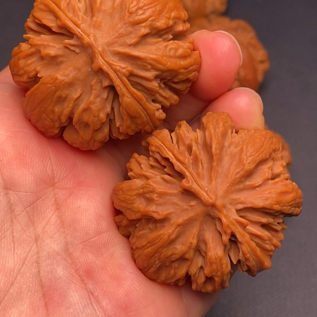 桃核把件秦岭野生核桃