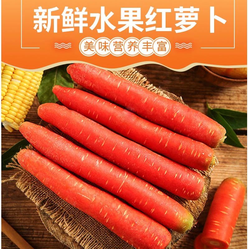 红萝卜沙地新鲜胡萝卜新鲜蔬菜水果萝卜现挖生吃脆甜即食陕西