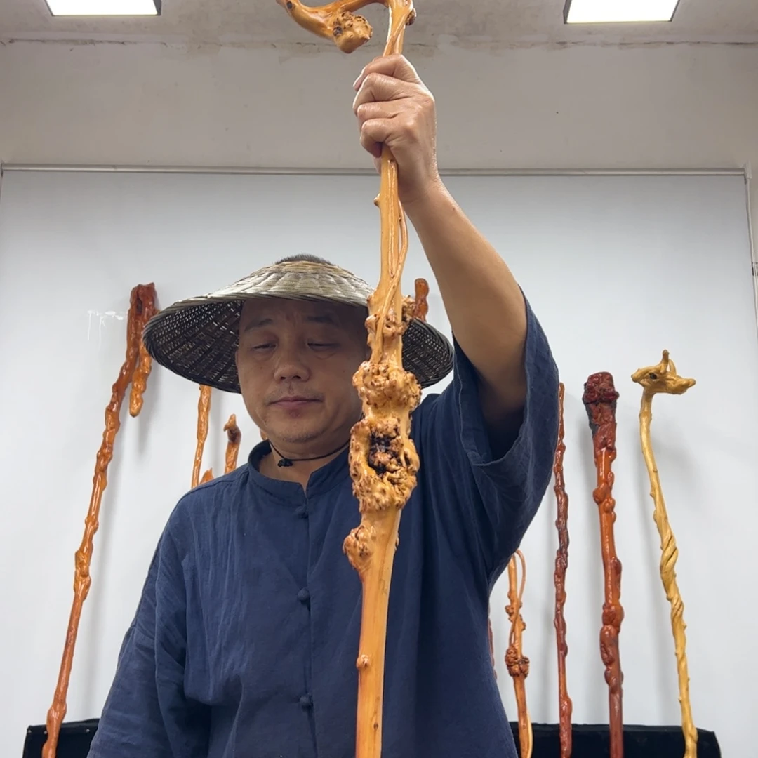 沉***人黑果木其他黑果木262
