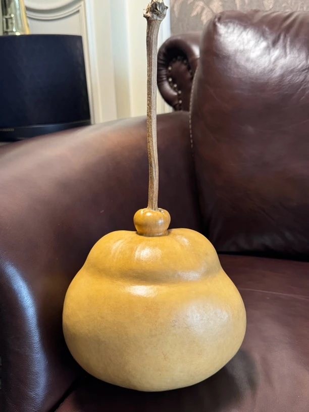 巨正大钱袋 超厚皮响籽