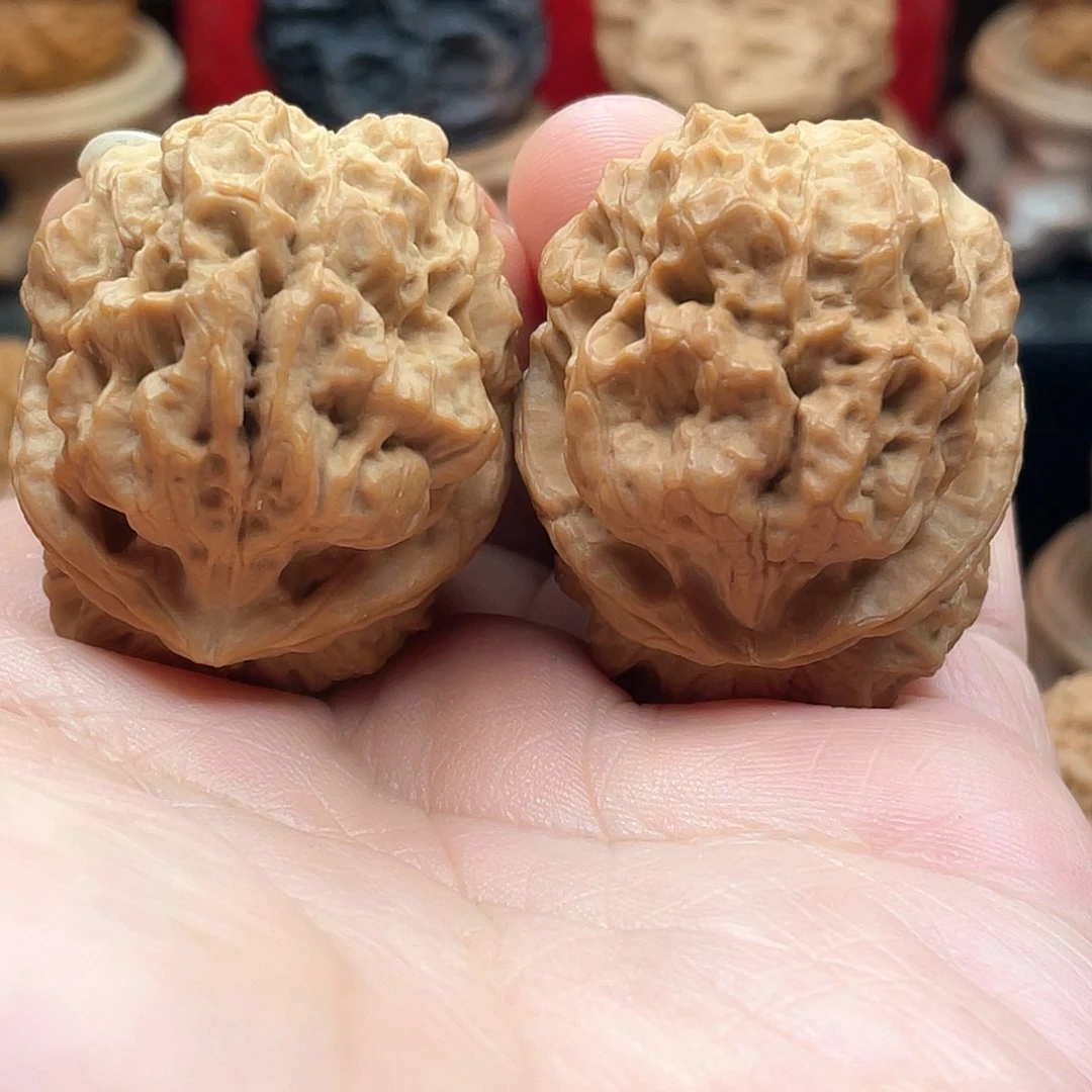 文玩核桃把件老树苍龙