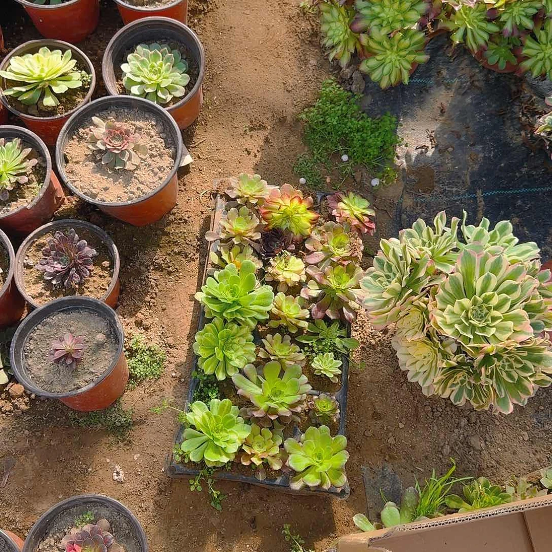 胶****房哦哦哦哦哦哦