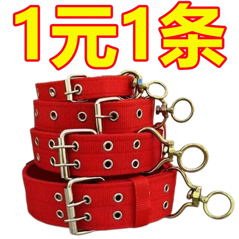 可调节防脱狗项圈颈圈脖圈中型犬金毛德牧脖套头大型狗脖套项圈
