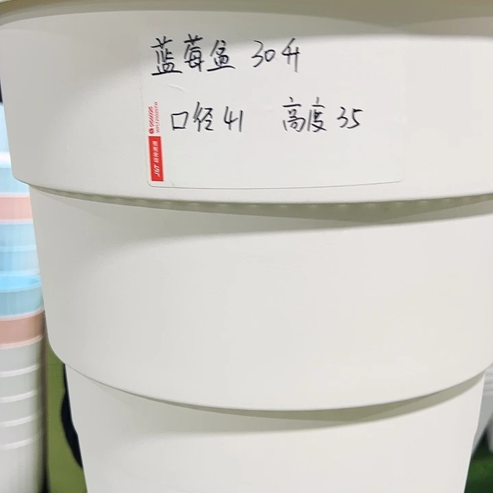 正品蓝莓盆口41高35白色3只无托