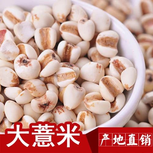 当季新货贵州大薏米仁大薏米杂粮薏仁米苡仁米苡米仁薏仁米