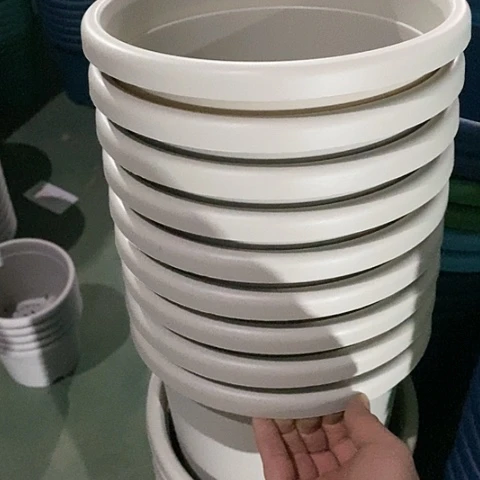 树脂微瑕3号10个无托灰白