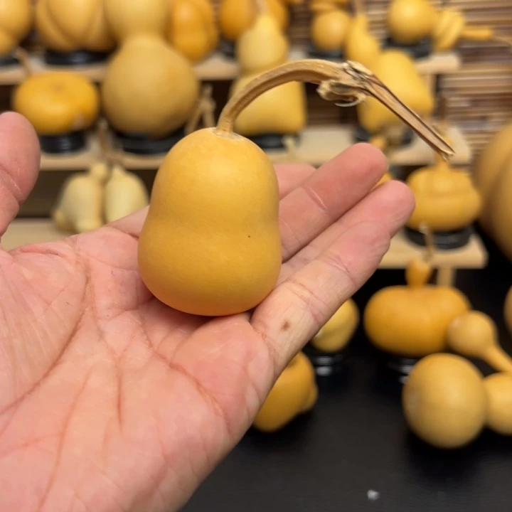 锤*126698865596399996