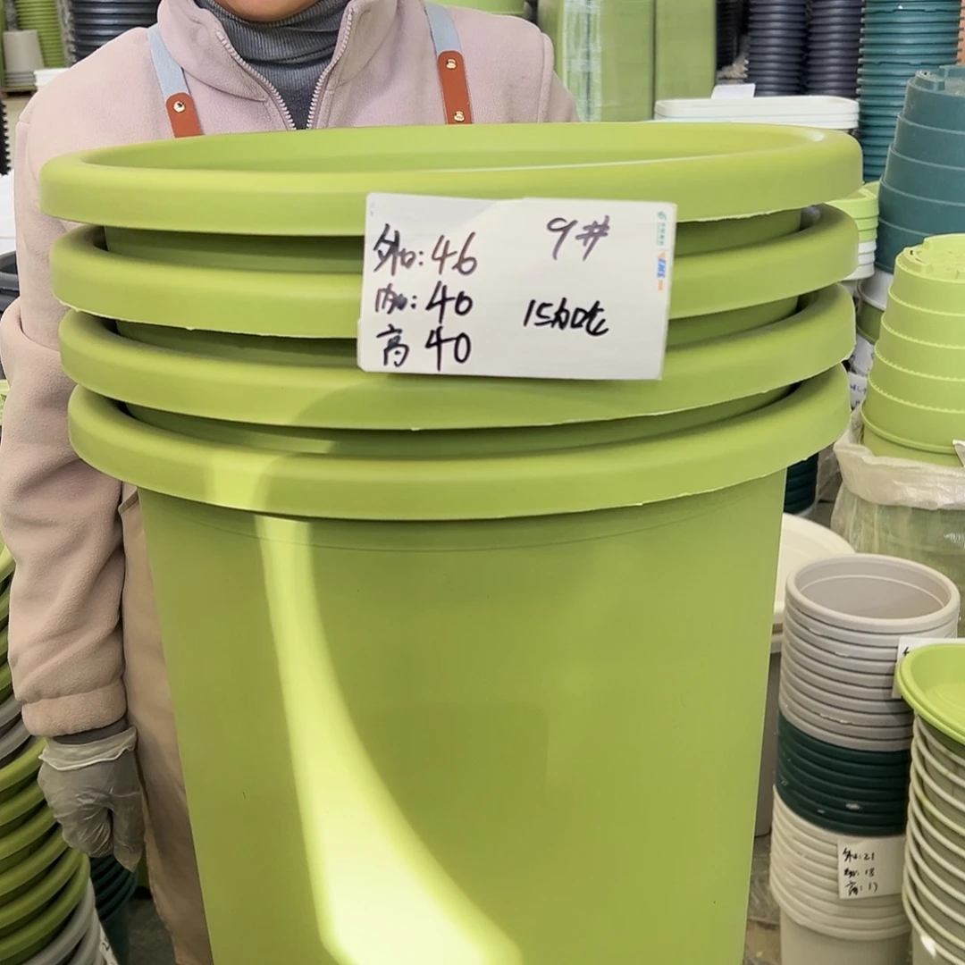 四季盆9#果绿色4个无托